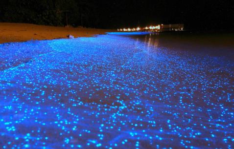 Maldives, Asia