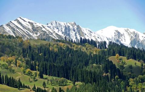 Things to do in Sonamarg