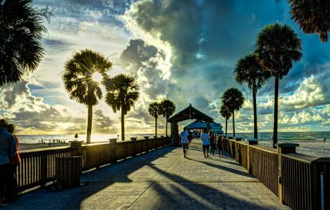 41 Best Things to do in Clearwater in 2018 (with photos & attraction