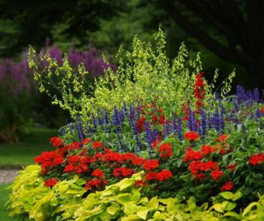 Botanical Gardens Tours