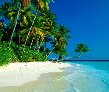 Conco Island Tours