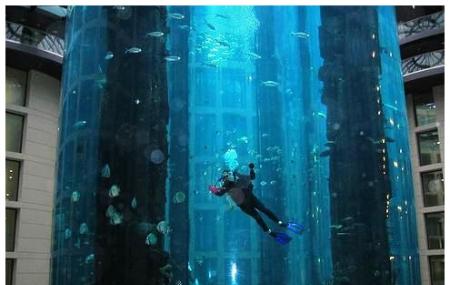 The Aquadom And Sea Life Berlin Centre Image