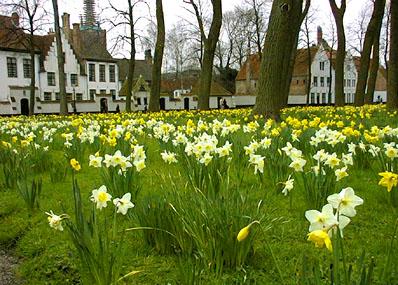 The Begijnhof Image