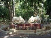 Botanical Gardens Image