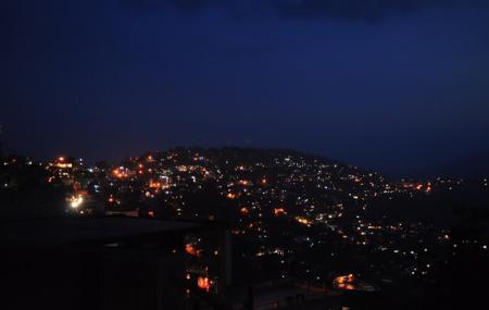 Night Walks Image