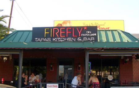 Firefly Image