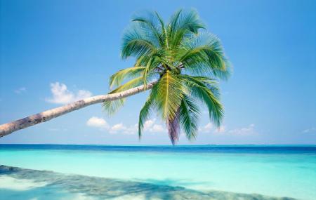 Varadero Beach Image