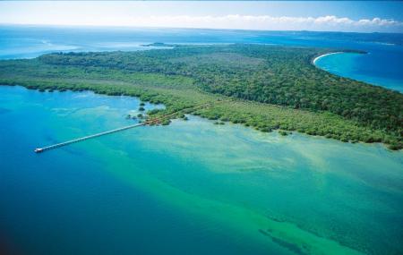 Moreton Bay Image