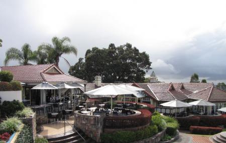 Mt. Coot-tha Lookout Image