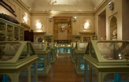 Museo Di Palazzo Poggi Image