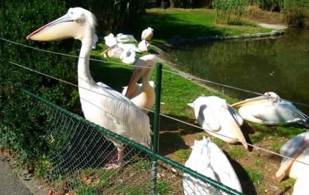Basel Zoo Image