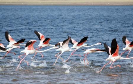 Bundala National Park Image