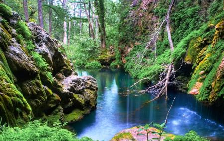 Westcave Preserve Image