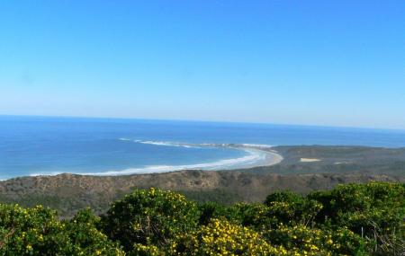 Buffalo Bay Image