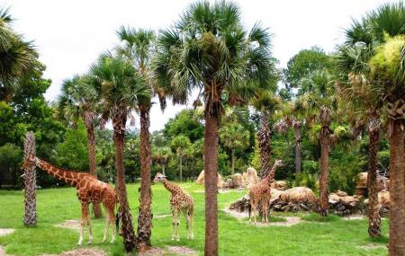 Jacksonville Zoo And Gardens Image