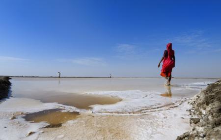 Great Rann Of Kutch Image