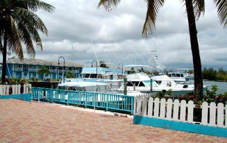 Port Lucaya Marina Image