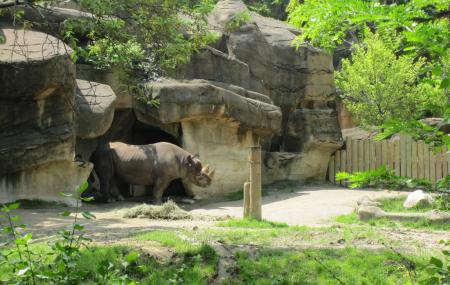 Cincinnati Zoo And Botanical Garden Image