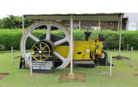Pedro Tea Factory Image