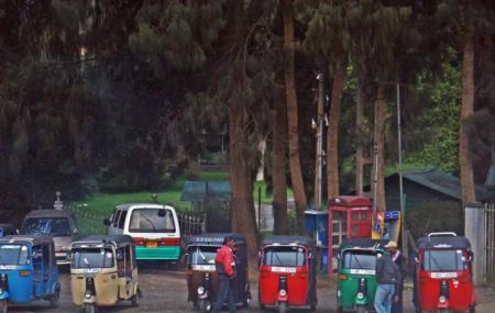 Tuk Tuk And Taxi Tours Image