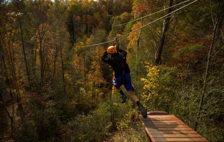 Climb Works Canopy Image