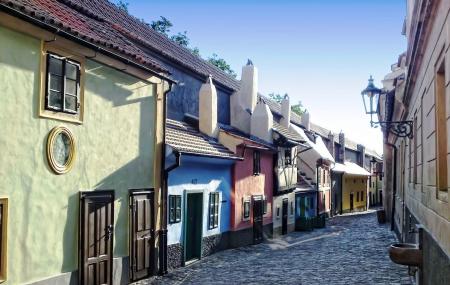 Golden Lane Image