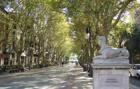 Passeig Des Born Image