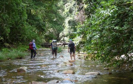 Bellinger River National Park Image