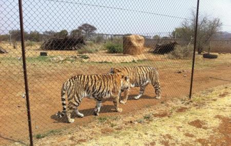 Predator World Image