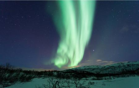 Arctic Explorers Tromso Image