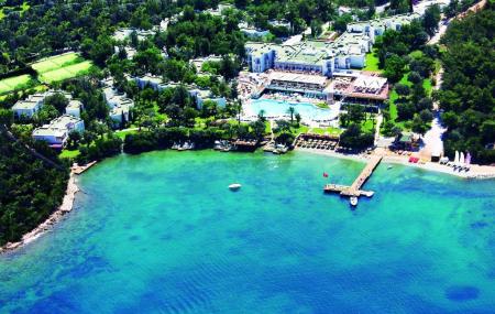 Isil Club Image