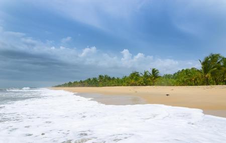 Marari Beach Image