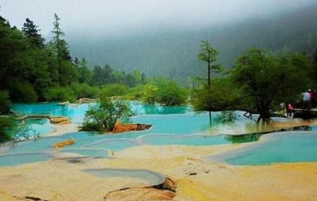 Five Colour Pool Image