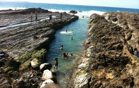 Snapper Rocks Image