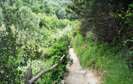 Footpath Monterosso- Vernazza Image