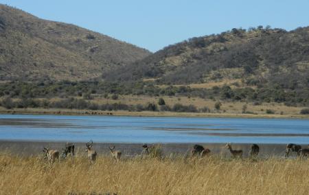 Mankwe Dam Region Image
