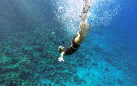 Maui Snorkel Charters Image