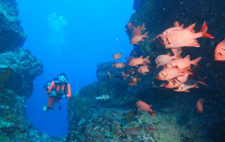Ticabo Diving Centre Image