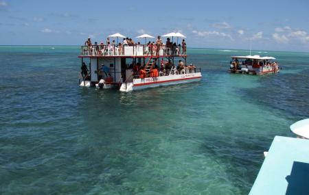 Picaozinho Image