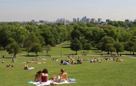 Primrose Hill Image