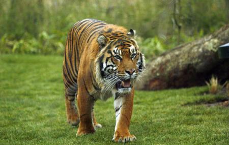 Zsl London Zoo Image