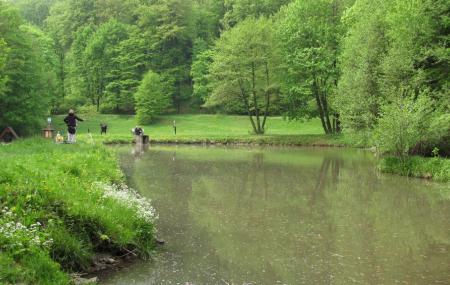 Bratislava Forest Park Image