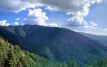 Green Valley Image