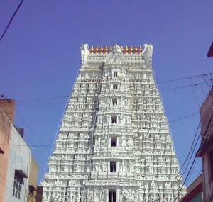 Sri Govindaraja Swamy Temple Image
