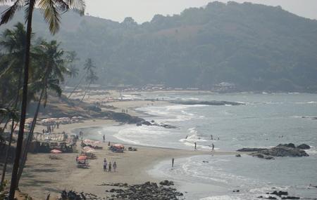 Vagator Beach Image