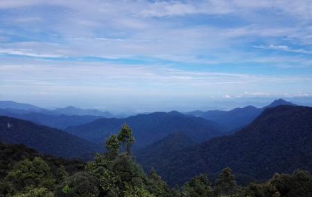 Gunung Brinchang Image
