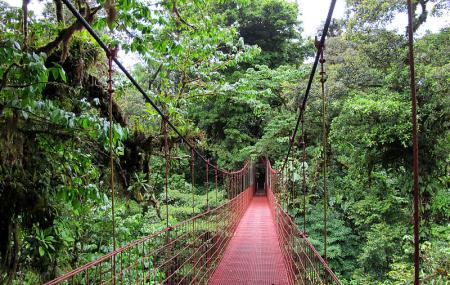 Santa Elena Skywalk Image
