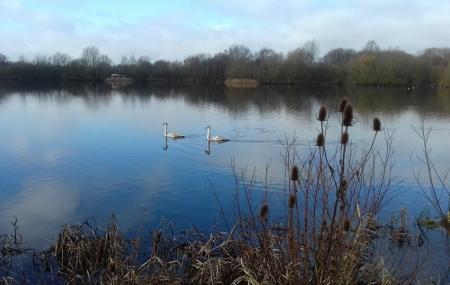 Stanwick Lakes Image