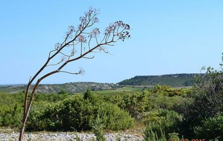Narbonnaise En Mediterranee Natural Regional Park Image