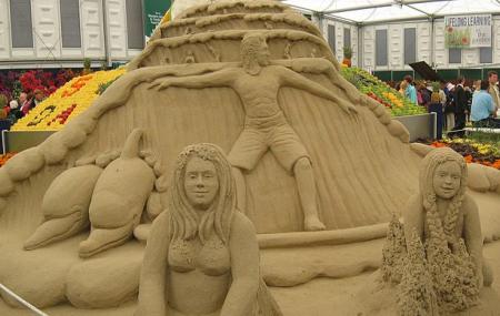 Chelsea Flower Show Image